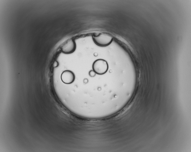 X0000115081406200911241133