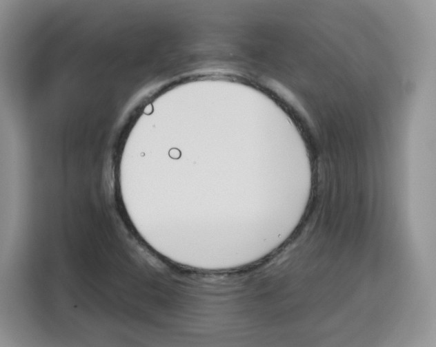 X0000115081408200911241133