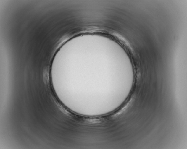 X0000115081409200911241133