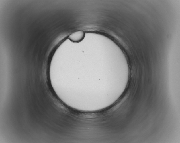 X0000115081410200911241133