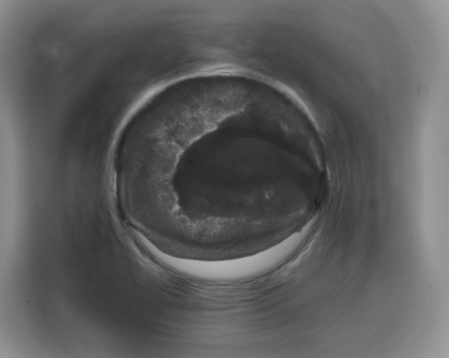 X0000115081414200911241133