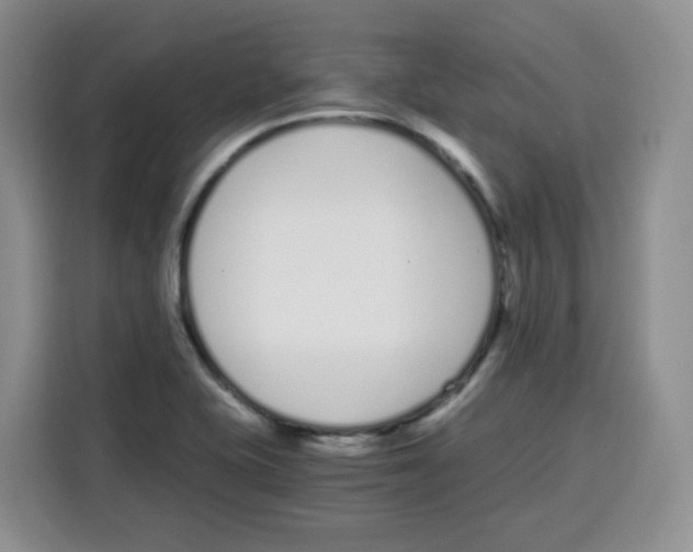 X0000115081415200911241133