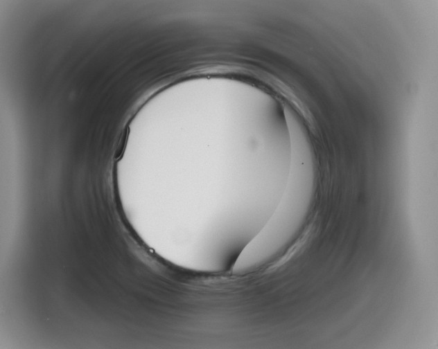 X0000115081417200911241133