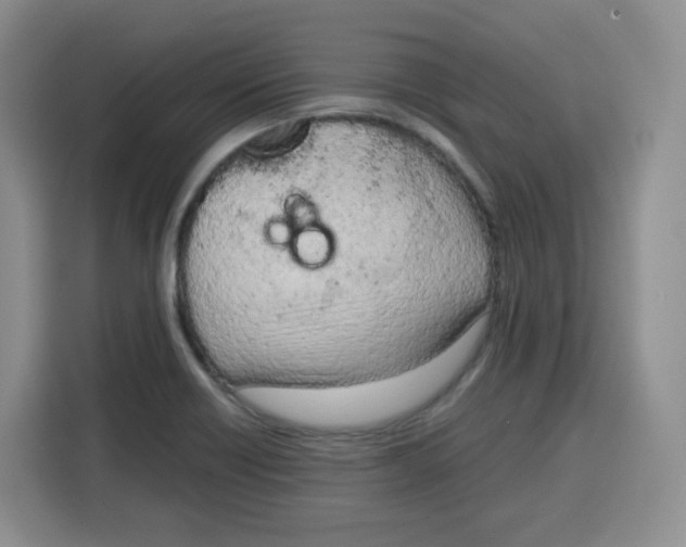 X0000115081418200911241133