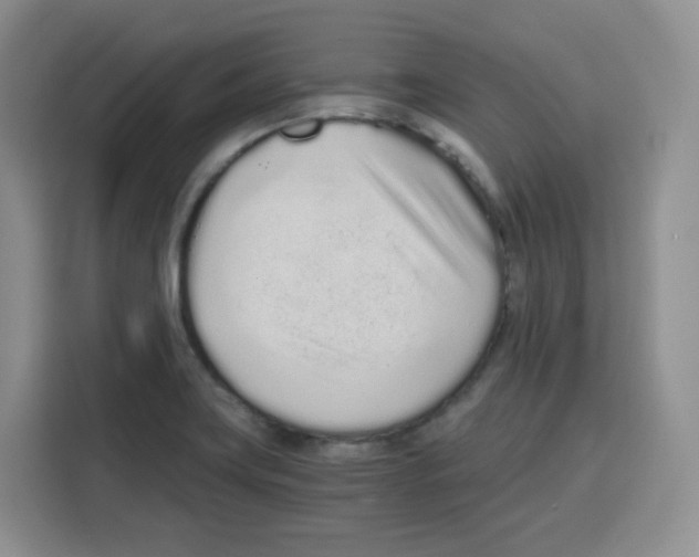 X0000115081419200911241133