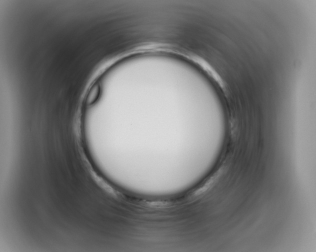 X0000115081421200911241133
