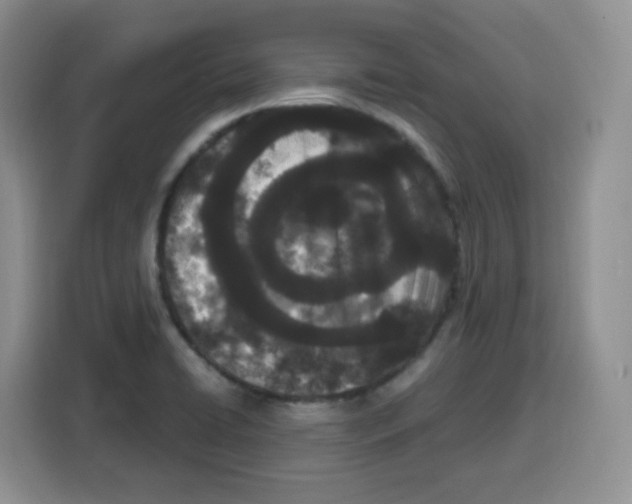 X0000115081422200911241133