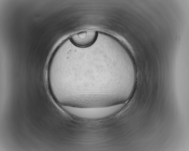 X0000115081424200911241133