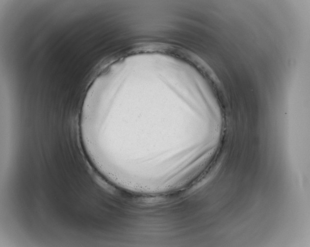 X0000115081425200911241133