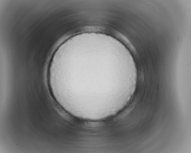 X0000115081427200911241133
