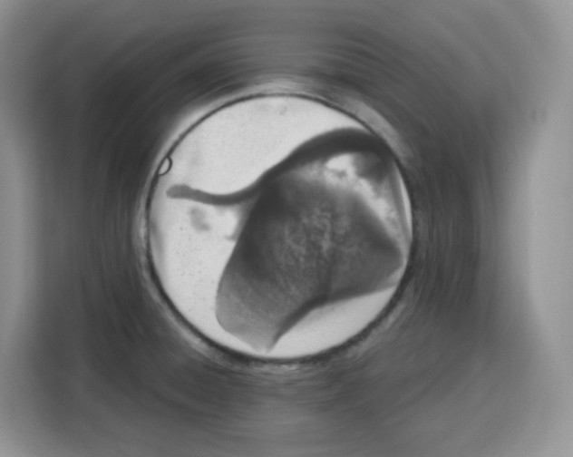 X0000115081428200911241133