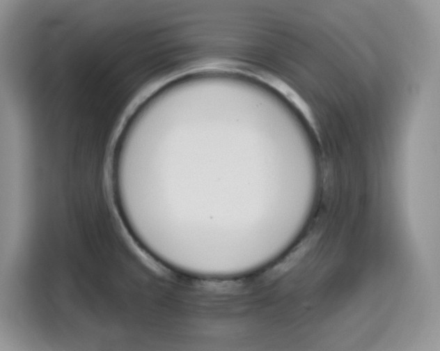 X0000115081429200911241133