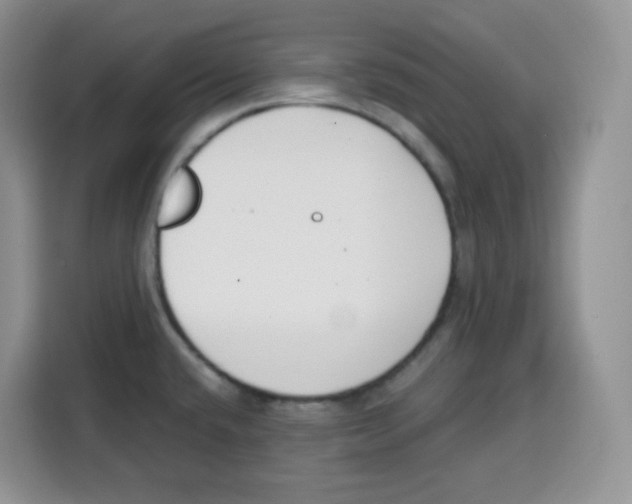X0000115081432200911241133