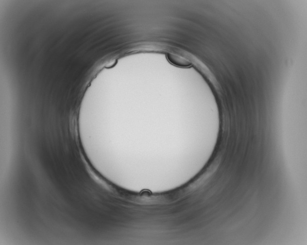 X0000115081433200911241133