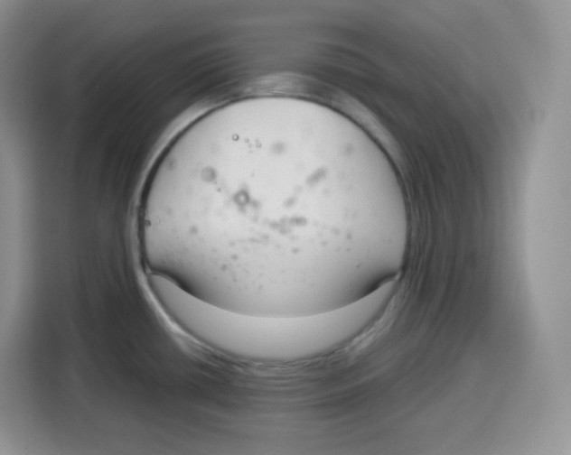 X0000115081434200911241133