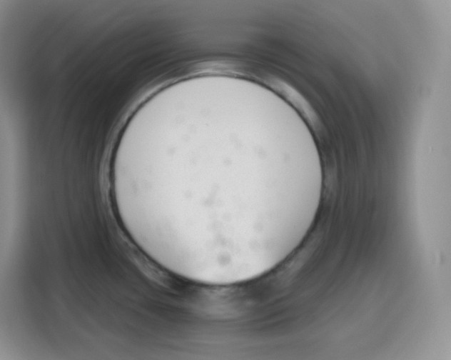 X0000115081435200911241133