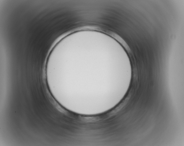X0000115081436200911241133