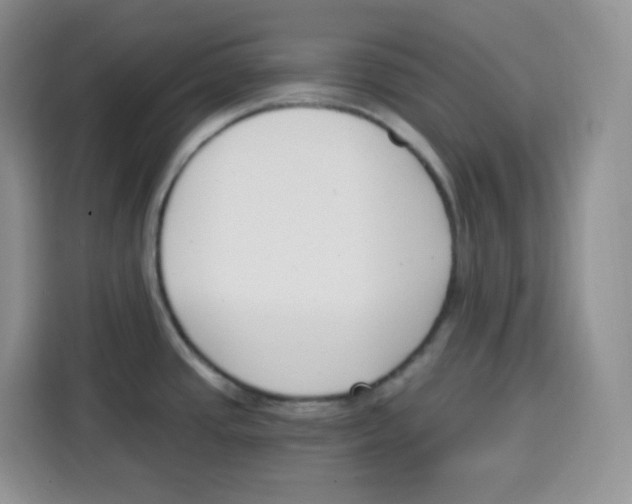 X0000115081437200911241133