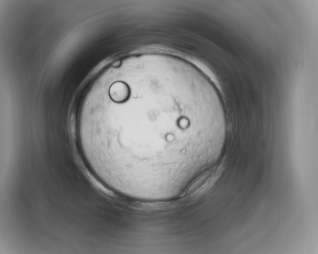 X0000115081438200911241133