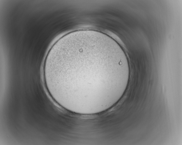 X0000115081440200911241133