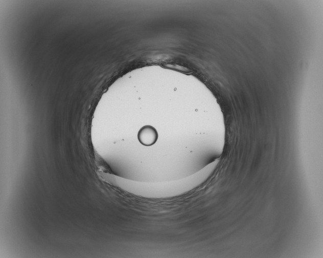 X0000115081441200911241133