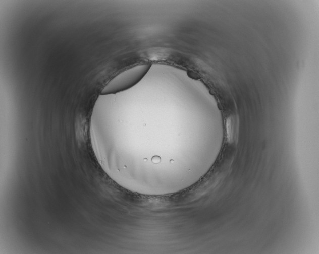 X0000115081443200911241133