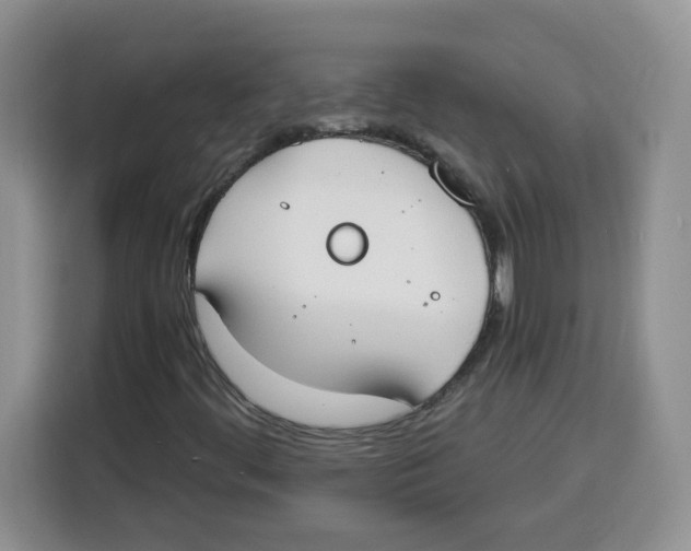 X0000115081444200911241133