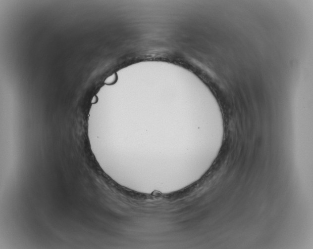 X0000115081447200911241132