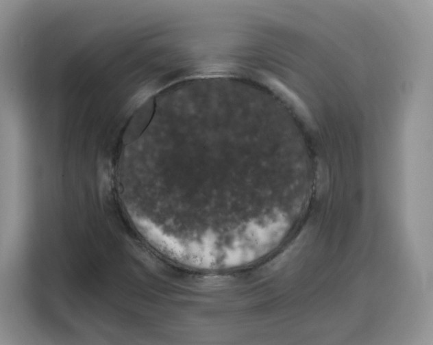 X0000115081449200911241132