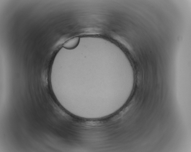 X0000115081451200911241132