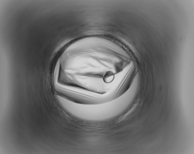 X0000115081453200911241132