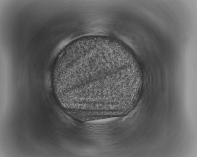 X0000115081455200911241132