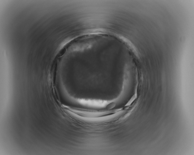X0000115081457200911241132