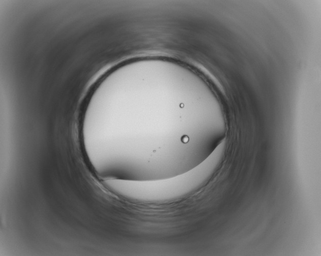 X0000115081460200911241132