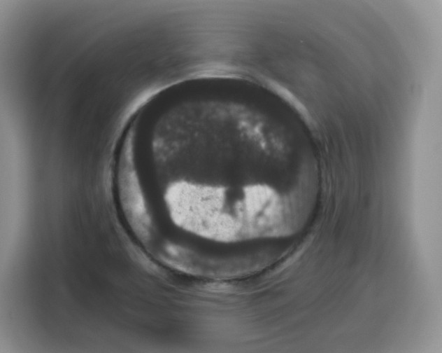 X0000115081463200911241132