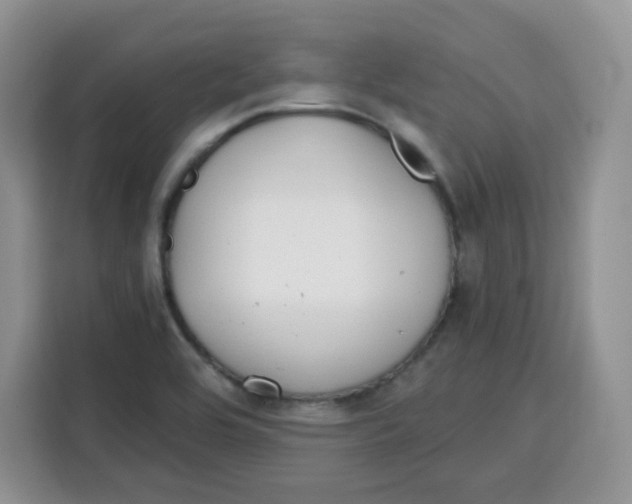 X0000115081464200911241132
