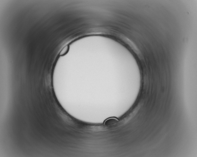 X0000115081465200911241132