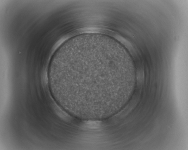 X0000115081466200911241132