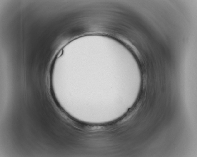 X0000115081467200911241132