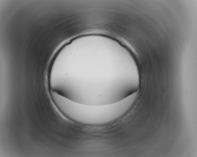 X0000115081468200911241132