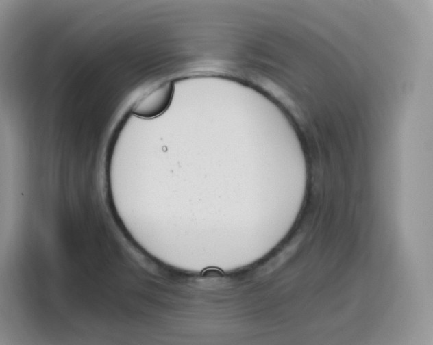 X0000115081469200911241132