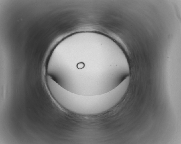 X0000115081472200911241132