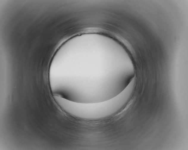 X0000115081473200911241132