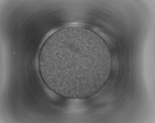 X0000115081474200911241132