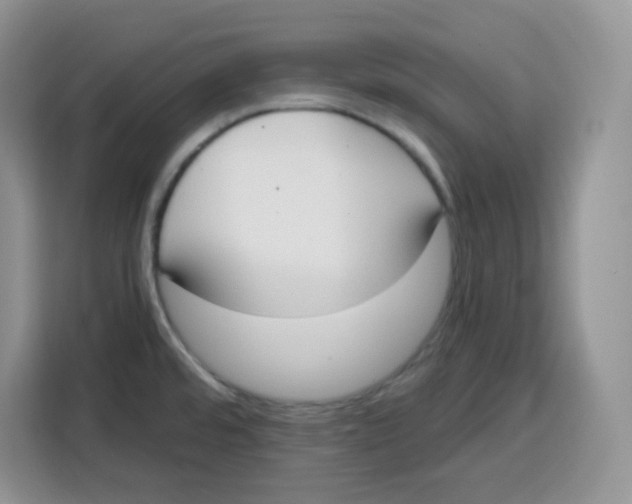 X0000115081480200911241132