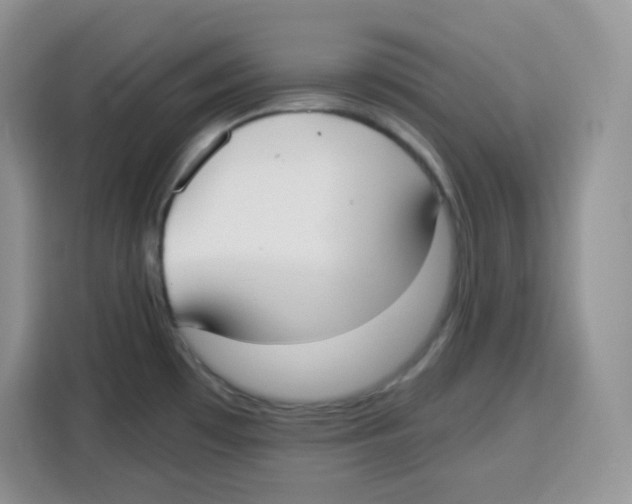 X0000115081481200911241132