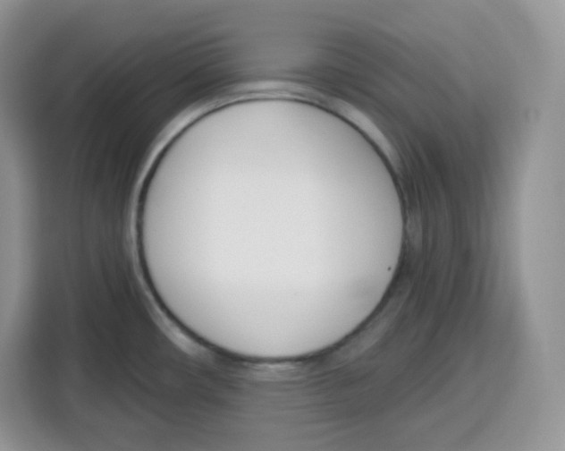 X0000115081482200911241132