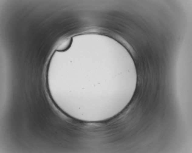 X0000115081483200911241132