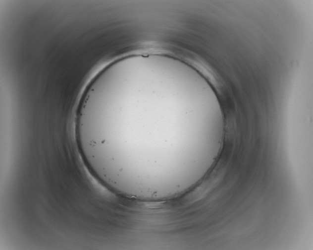 X0000115081484200911241132