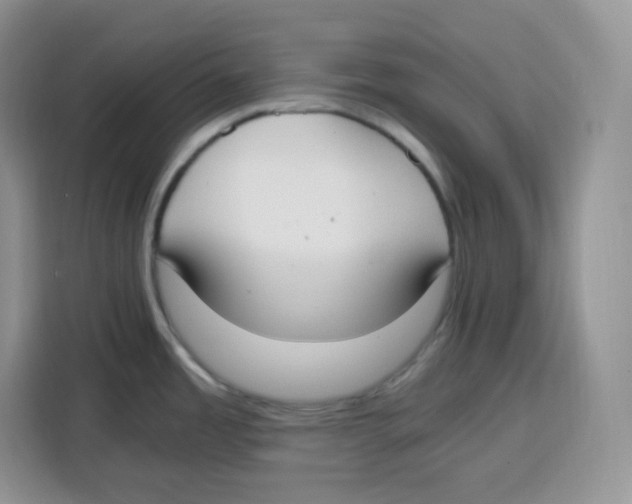 X0000115081485200911241132